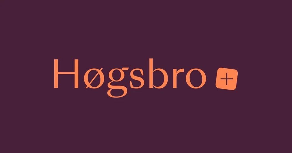 hoegsbro-plus-bliver-til
